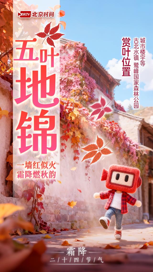 霜降踏京秋 一叶一风光｜8种彩叶绘就北京多彩又诗意的秋