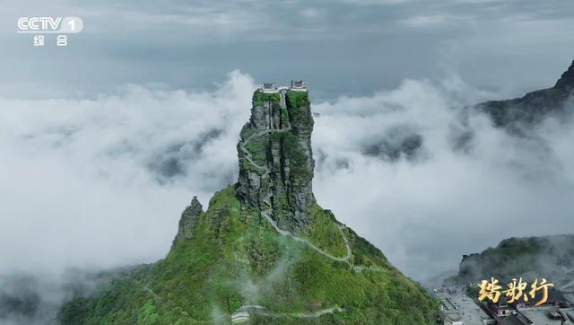 踏歌行丨走进“地球的独生子”的栖息地