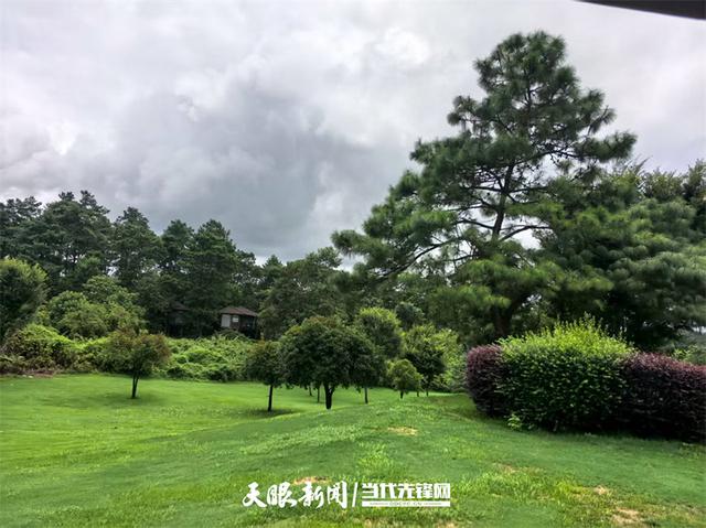 【不一样的生态游】23℃的森林间，藏着树屋下的魔法奇遇