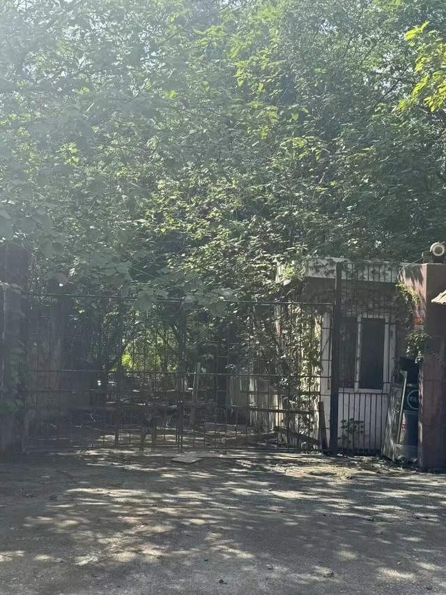 北大医药董事长徐晰人被抓！1元入主后进行“人事大清洗”，“优化”待岗员工，内部人士：集团资产被其处置，巨额资金去向不明