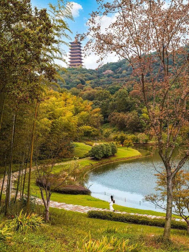 所有南京市民，半价