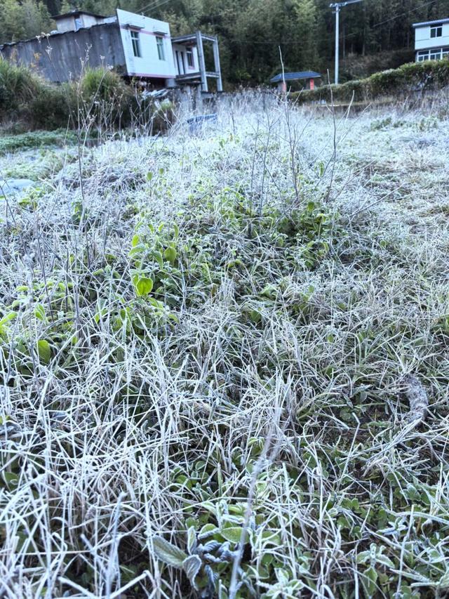 今晨,大湖一夜美成“水晶宫”!