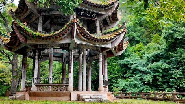 龙泉国家森林公园：偷得浮生半日闲