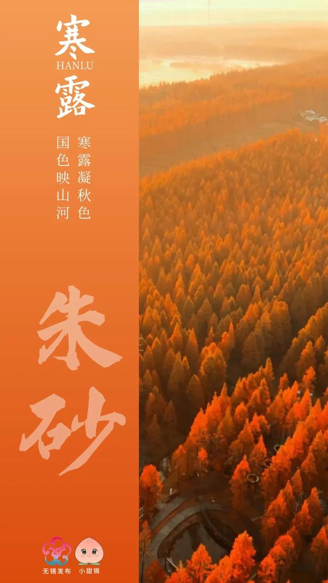 再 致 盐 城