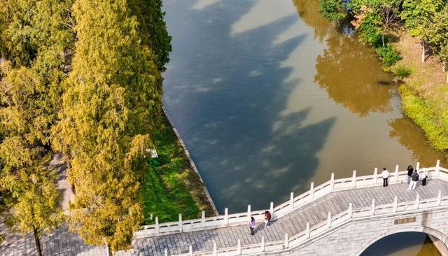 落叶缓扫，留住荆州别样秋色