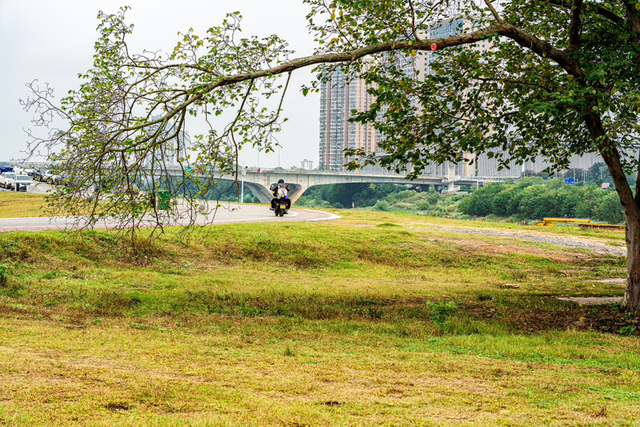 秋游白沙河草甸