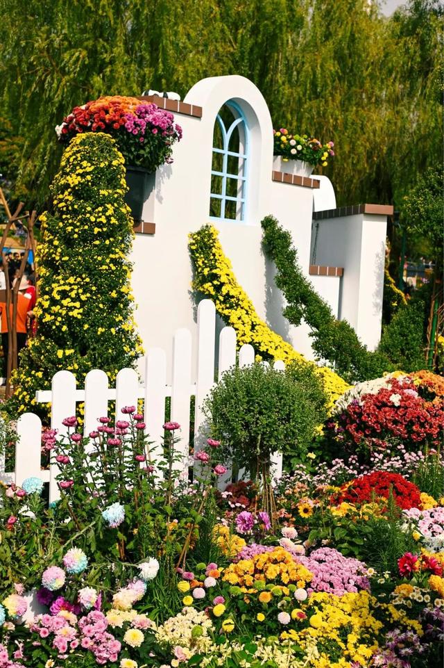 坐地铁，打卡武汉第42届金秋菊展