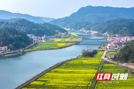 娄底这场油菜花节3月17日启幕！系列活动等你解锁→图片