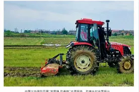 以“价值大地”为基 中国大地保险奋力书写服务国家战略精彩答卷图片