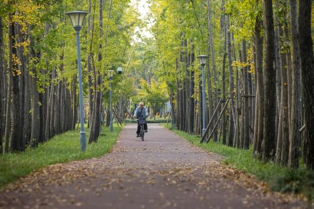 一大波美图袭来！长宁赏秋秘境藏不住啦～