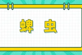 被这些小虫子咬了，处理方法跟被蚊子咬了不一样 | 科普时间图片