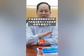 中海油集团原副总经济师、气电集团董事长齐美胜被查，此前年薪超百万图片