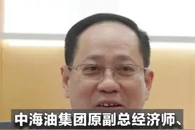 中海油集团原副总经济师、气电集团董事长齐美胜被查，此前年薪超百万图片