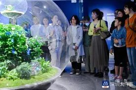 “植物智能——物种新论”开展，呈现艺术与科技的深度结合图片