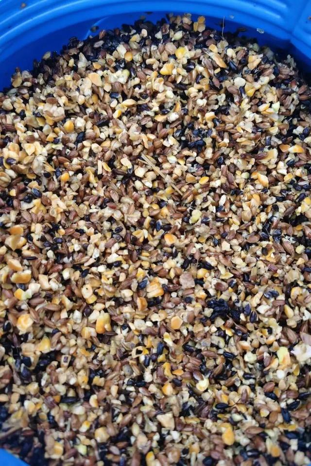 【冬季暖阳 凉山不凉】最全美食美景旅行攻略出炉！第一次来泸沽湖旅游必看！