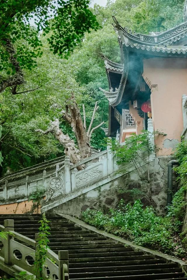 莲都人！免费！