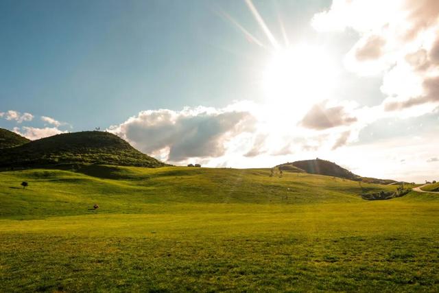 中华诗词学会酉阳采风行启动，共绘“诗词里的桃花源”