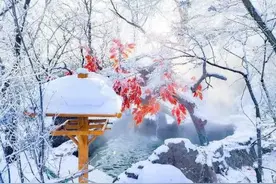 冰天雪地中泡温泉、睡火炕，南方游客大呼“过瘾”图片