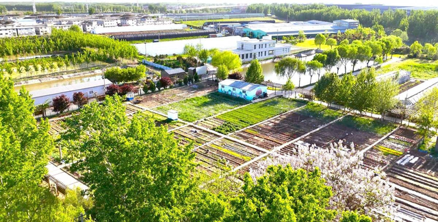 相约梦想田园，来济南槐荫开启一场休闲假日之旅