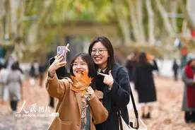 南京：东南大学梧桐树下风光好图片