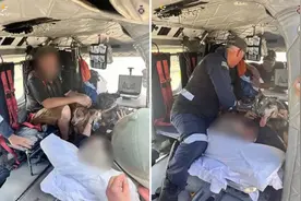 澳大利亚夫妇开车遭遇洪水，车窗逃生又被鳄鱼跟踪，被困数日获救图片
