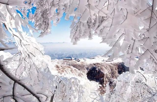 “洛阳怎么一下雪，就封神。”