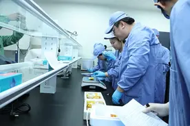 中国空间站第八批科学实验样品顺利返回图片