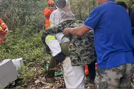 郴州老人被鬼头蜂围攻蜇伤昏迷，蜂针令人害怕！医生：过敏体质者被蛰或有生命危险图片