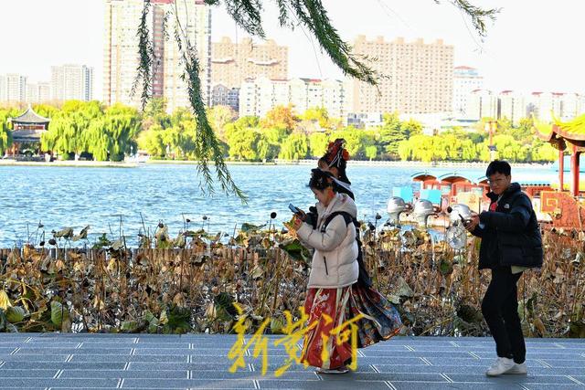济南迎寒潮天气 大明湖畔游客寒风中赏残荷韵味足