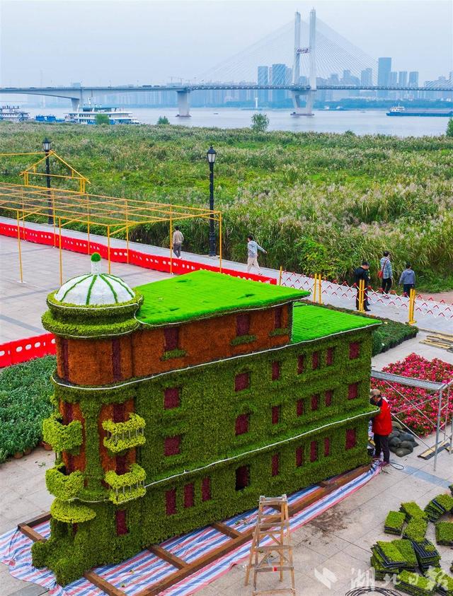 武汉金秋菊展剧透！巴公房子、黄鹤楼菊花造型惊艳