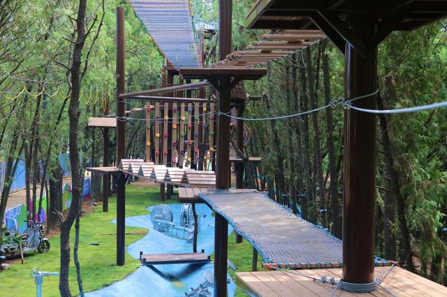 日照茶山牧场：一片茶香萦绕的治愈绿野