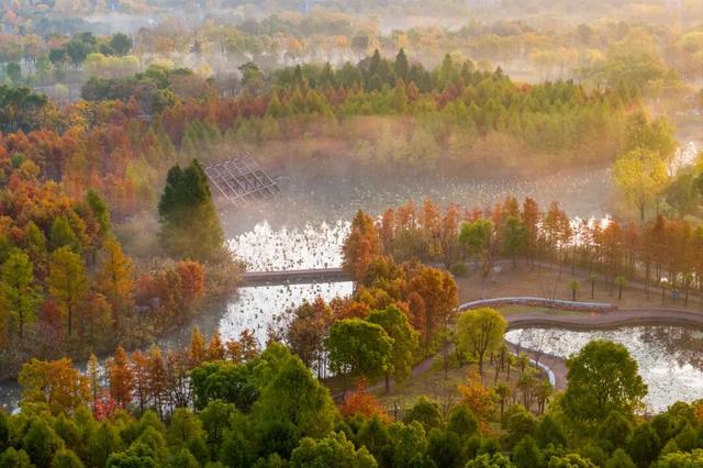 南通这里又要火了！每天清晨，不少人赶去打卡