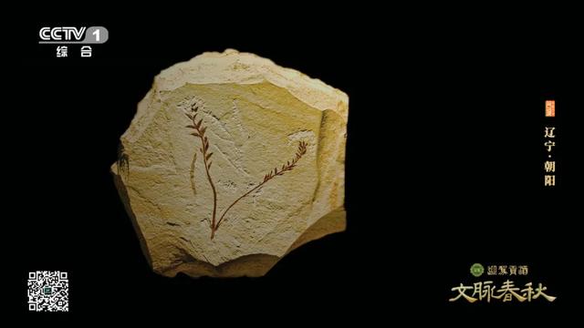 辽宁朝阳：三燕故都 辽塔千年