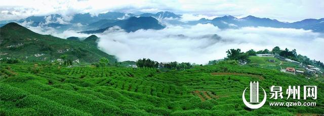 出发，沿着国道游泉州！