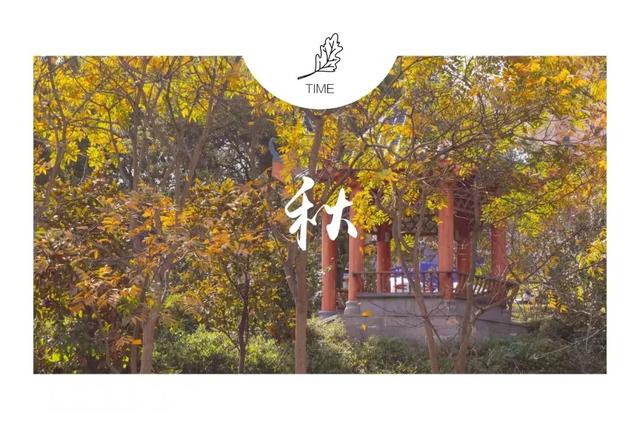 要开学啦！这些三明高校隐藏美景，还不来吗？