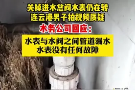 水务公司回应“男子关掉进水阀水表仍在转”：水表与水阀之间管道漏水 水表没问题图片