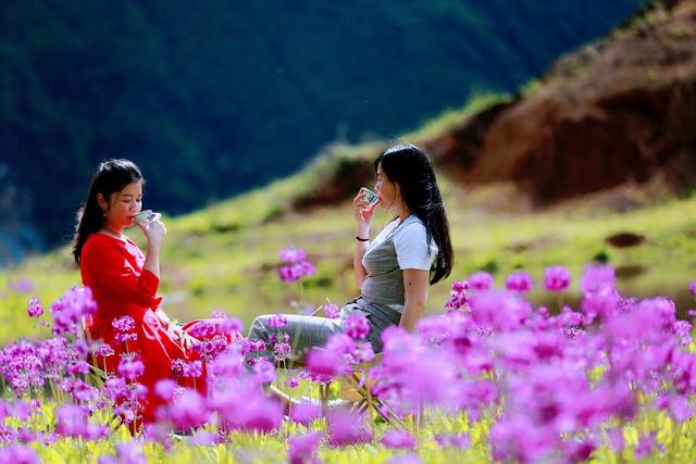 雅安女子止昔：茶香绕客栈