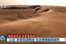 锚定现代化 改革再深化丨“三北”攻坚加速推进 生态屏障越筑越牢图片