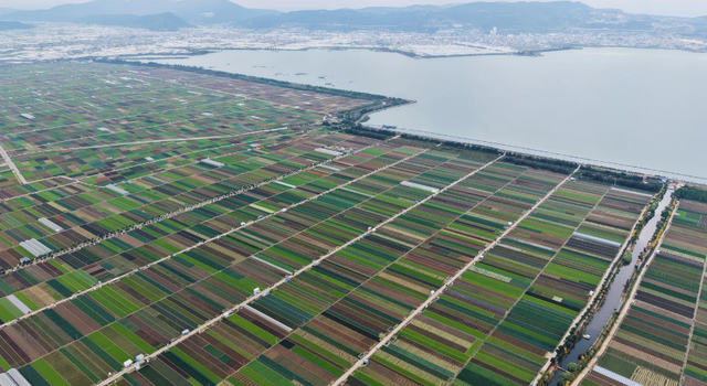 杞麓湖的初冬，藏着最温柔的治愈时光