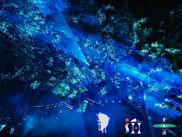 青浦这个光影节打卡点火了！裸眼3D、森林幻境，分分钟出大片