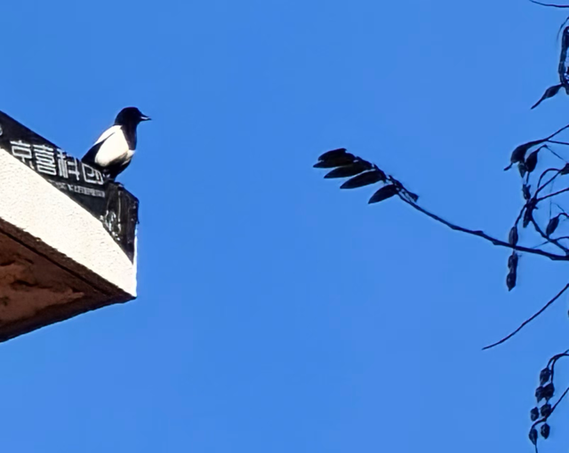 初冬北京，碧水蓝天美景好治愈
