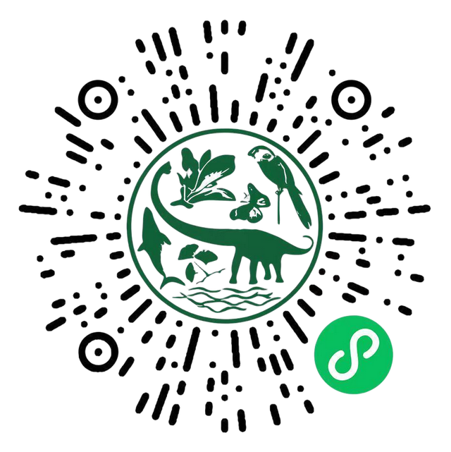 上海自然博物馆又出新招？“趣玩研学”品牌重磅发布！