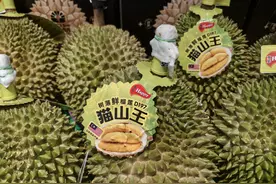 列国鉴·马来西亚｜记者手记：品榴莲之香　识马来西亚图片