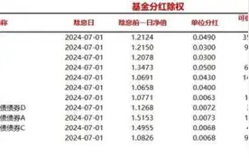 今日11只基金分红除权图片