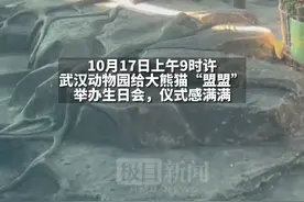 大熊猫“盟盟”在汉过4岁生日，它狠狠地亲了“自己”一口！图片