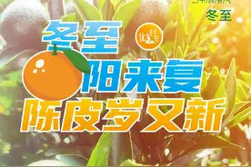 优·时节|冬至阳来复 陈皮岁又新图片