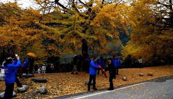 高铁连京永湘超引客来|北京企业家打卡双牌桐子坳共探合作新机遇