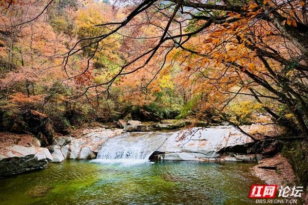 岁暖时刻丨光雾山诺水河那片秋末初冬的景色好撩人
