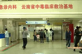 警惕！头水菌上市没多久，已有多人中毒！图片