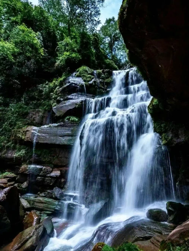 离开浪浪山，到成都的山里来浪一浪！